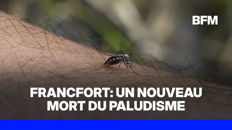 Le paludisme inquiète à Francfort avec un troisième décès enregistré hors de la zone aéroportuaire