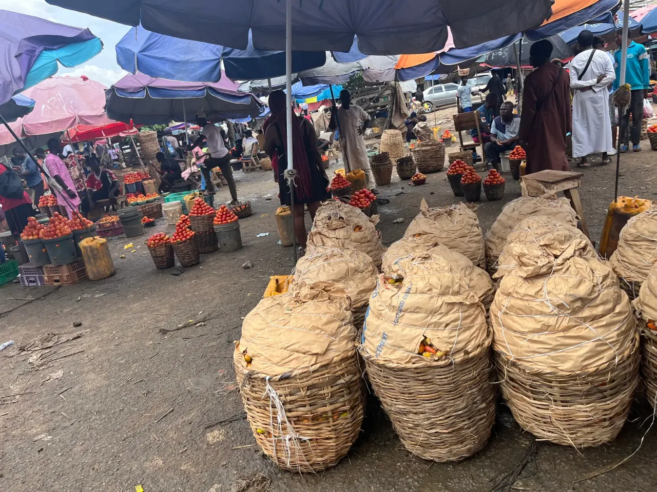 Le boom du paiement numérique au Nigeria se heurte à la réalité des marchés ruraux et transfrontaliers