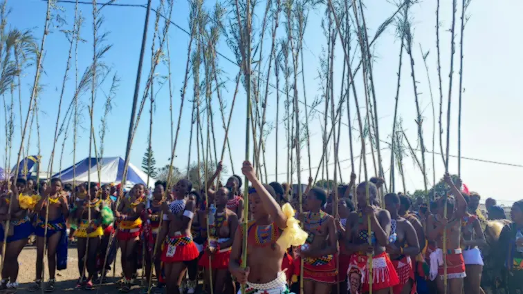 Le uMkhosi woMhlanga 2026 à eMashobeni : 30 000 jeunes femmes se préparent pour la danse du roseau sous le règne du roi Misuzulu