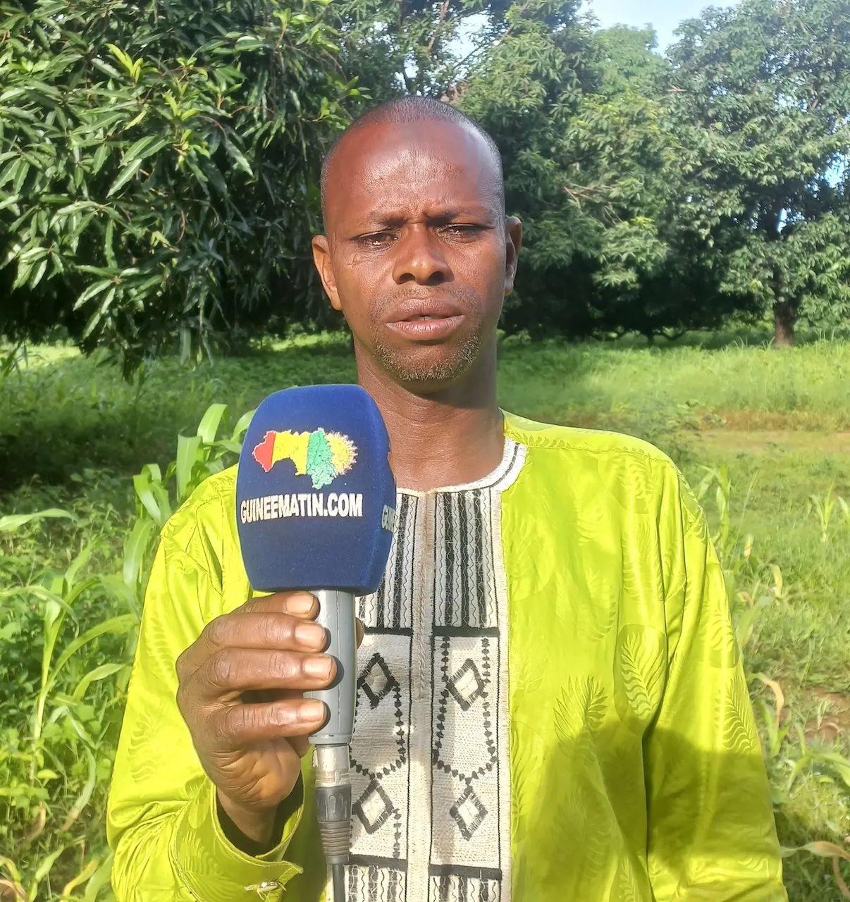 À Gaoual, le conflit foncier entre éleveurs et agriculteurs provoque un exode massif du cheptel