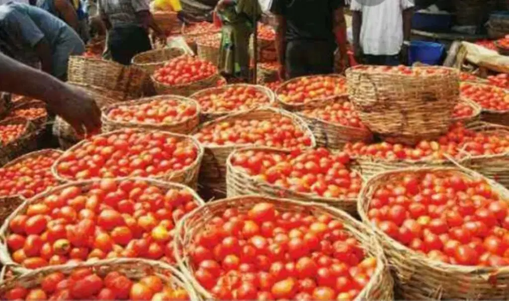 Le Nigeria face à une inflation alimentaire record : experts et agriculteurs s'opposent sur les causes et les solutions
