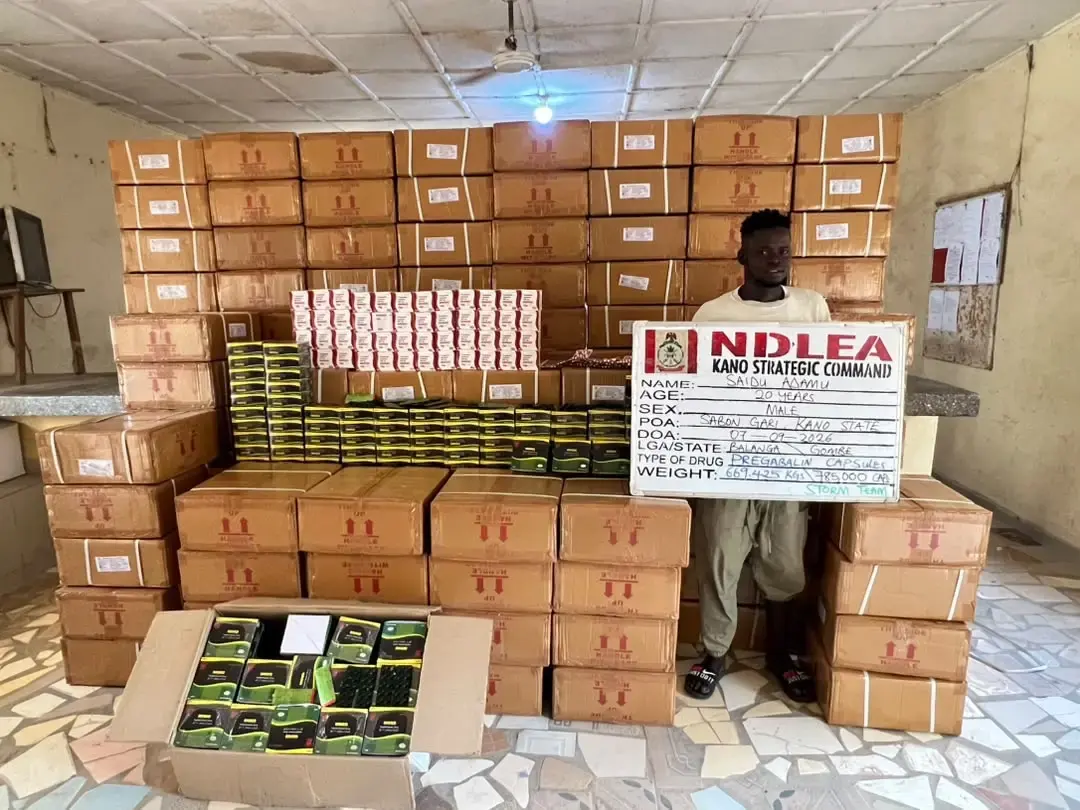 Le Nigeria intensifie sa lutte contre le trafic de stupéfiants avec des saisies majeures dans sept États