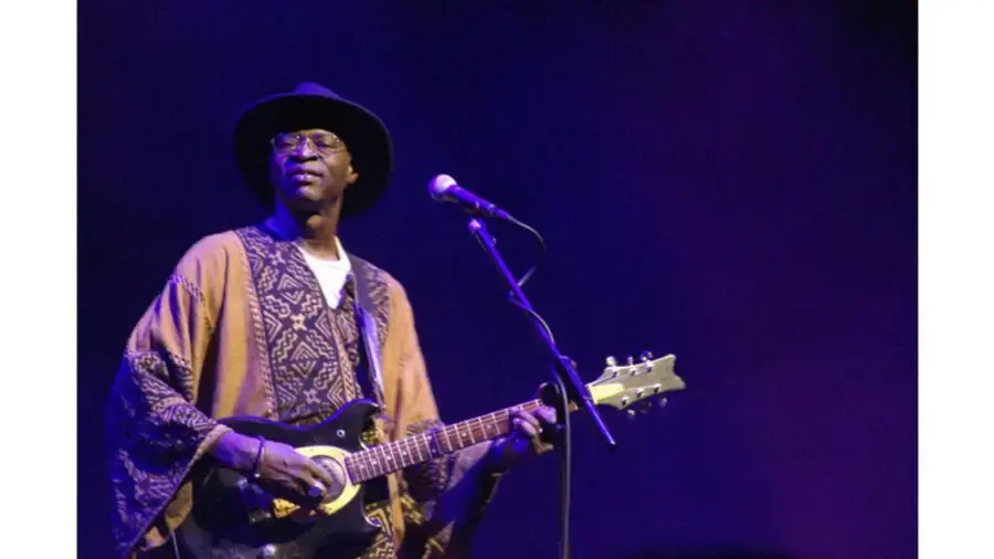 Aly Farka Touré : l'héritage d'un virtuose malien qui a redéfini les racines africaines du blues mondial