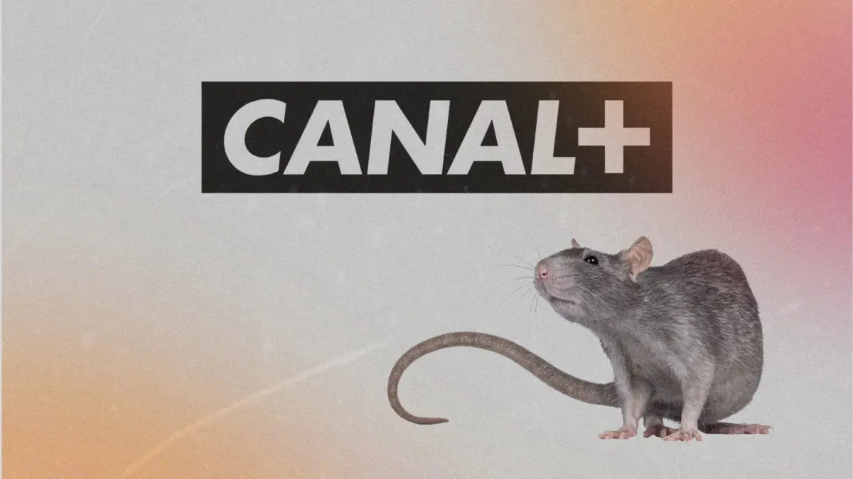 Canal+ ajuste sa stratégie tarifaire avec une nouvelle offre d'entrée de gamme pour les jeunes adultes