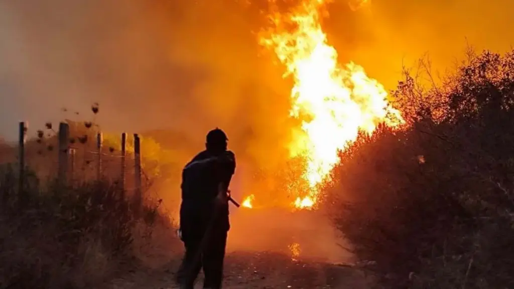 L'Algérie envisage la peine de mort pour les incendiaires après des feux de forêt meurtriers