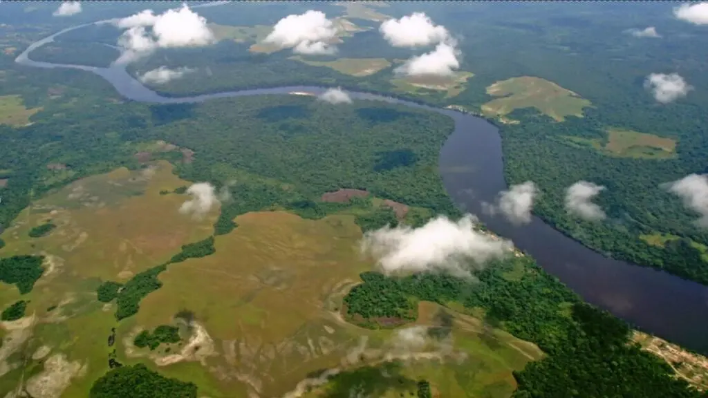 RDC : une nouvelle tour à flux pour percer les secrets climatiques du Miombo