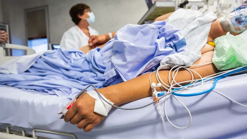 La psilocybine, une piste prometteuse pour prévenir les douleurs neurologiques liées à la chimiothérapie