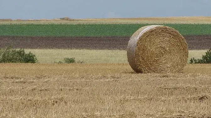Le gouvernement français temporise sur le plan d'aide aux agriculteurs face à l'ampleur des besoins financiers