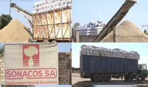 Sonacos investit 18,75 milliards de francs CFA dans un complexe agro‑industriel à Médina Yoro Foulah, Kolda
