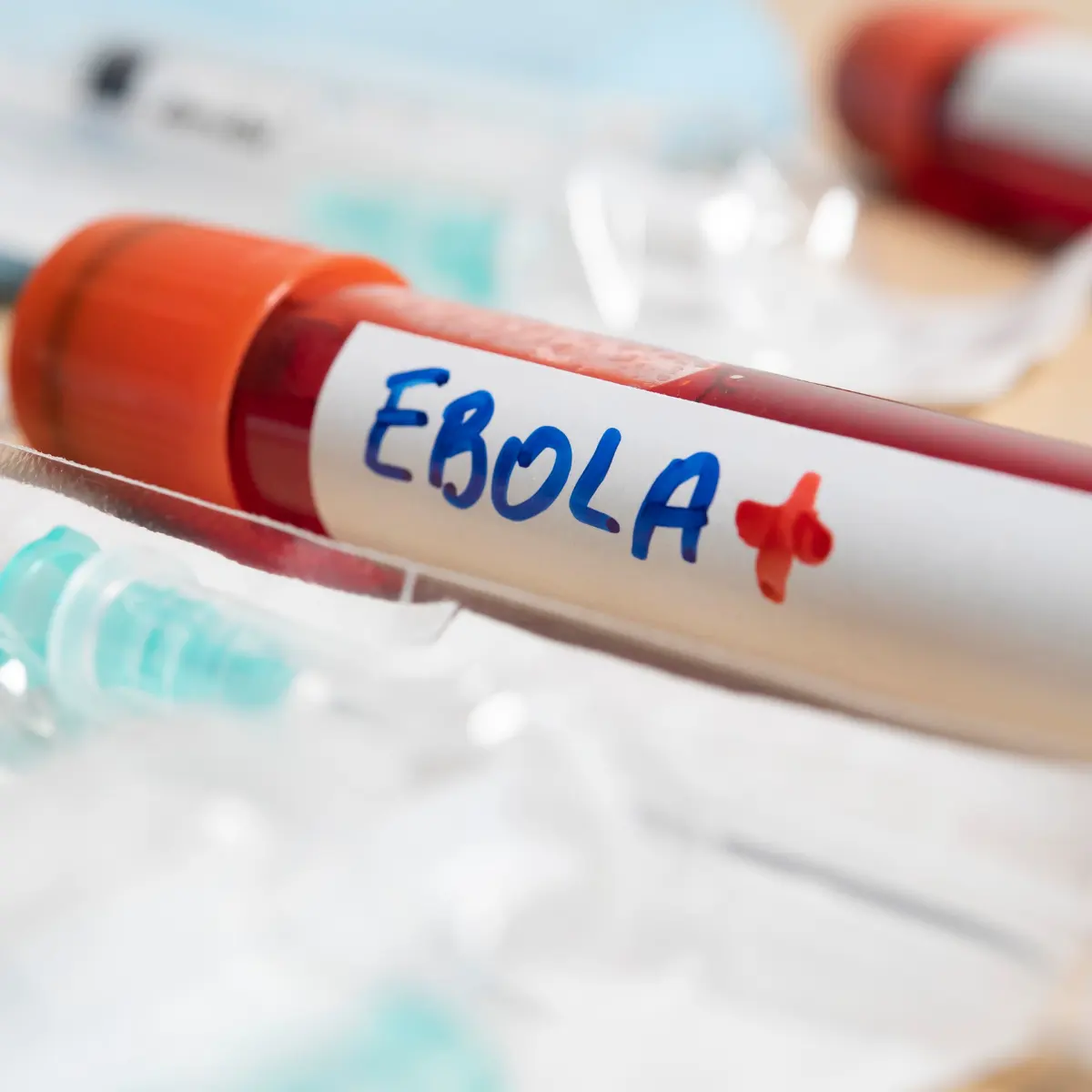 L'Ouganda instaure une quarantaine obligatoire de 21 jours pour les élèves venant de RDC face au risque Ebola