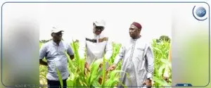 Le ministre de l'Agriculture évalue la résilience des cultures face aux aléas climatiques dans la région de Tambacounda