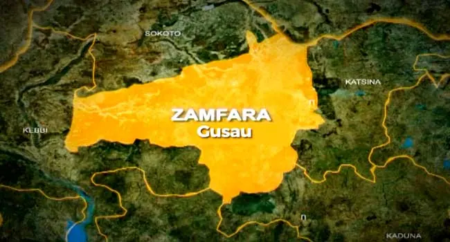 Les gardes communautaires de Zamfara arrêtent neuf complices du réseau de bandits, dont un médecin et un faux avocat