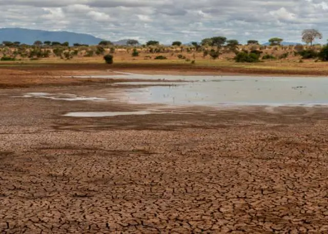 La CEDEAO appelée à transformer ses engagements climatiques en législations régionales contraignantes