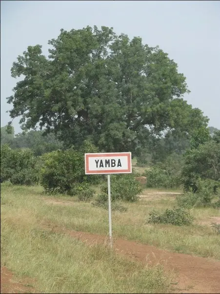 La reprise des activités agricoles à Yamba : un soulagement pour les femmes grâce aux efforts des forces combattantes