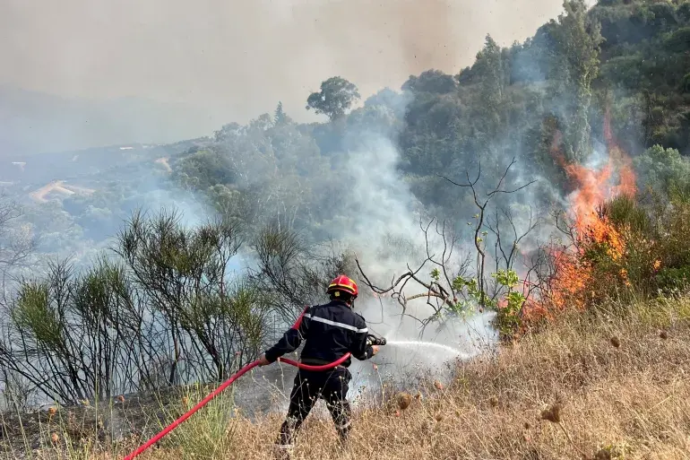 L'Algérie envisage la peine capitale pour les auteurs d'incendies criminels après une série de feux meurtriers