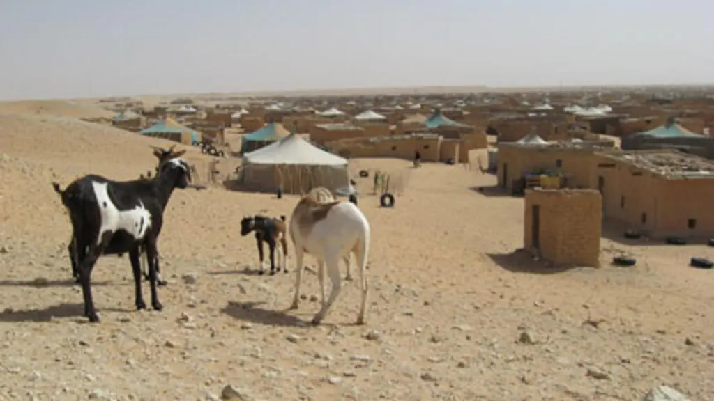 Le Maroc reste neutre face à la loi espagnole qui accorde la nationalité à des dizaines de milliers de Sahraouis