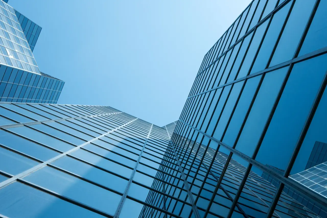 Pourquoi l'expertise du secteur privé ne garantit pas une gestion publique efficace