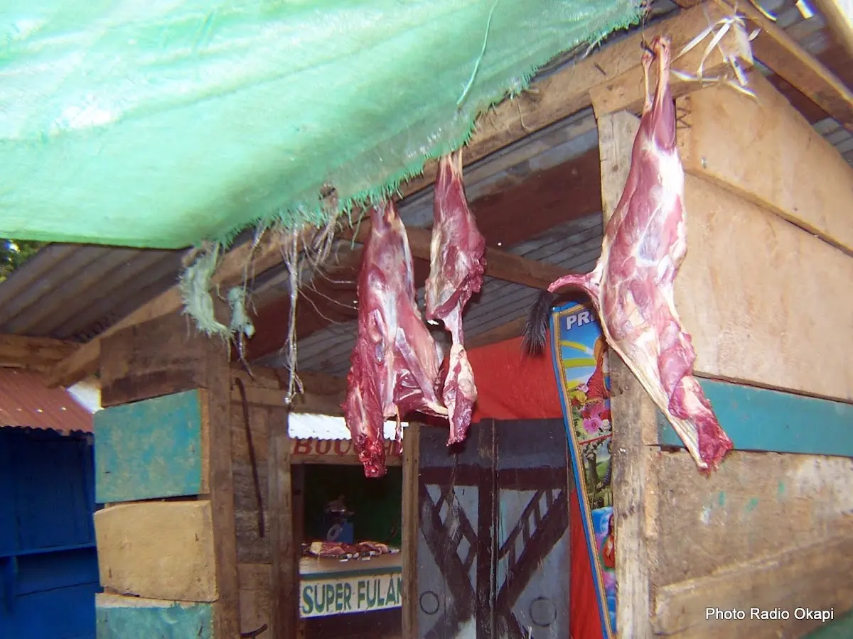 La crise sécuritaire au Nord-Kivu paralyse la filière bovine et fait flamber les prix à Masisi