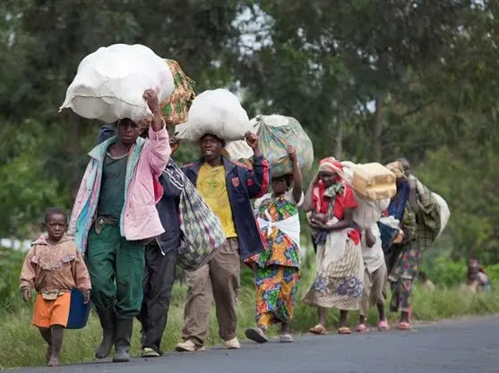 Plus de 1 400 femmes retournées bénéficient d’un programme de réinsertion agricole soutenu par l’ONU dans le Nord‑Kivu
