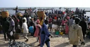 Le Sénégal face à un nouvel emprunt du FMI de 2,2 milliards de dollars : le CADTM exige un audit citoyen