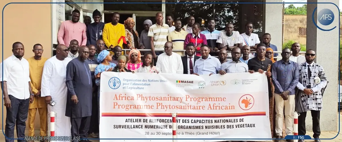 Le Sénégal modernise sa surveillance phytosanitaire pour protéger les rendements agricoles