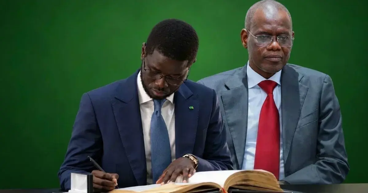 Remaniement à la tête de l'ANRAC : quels enjeux pour le Plan de relance en Casamance ?