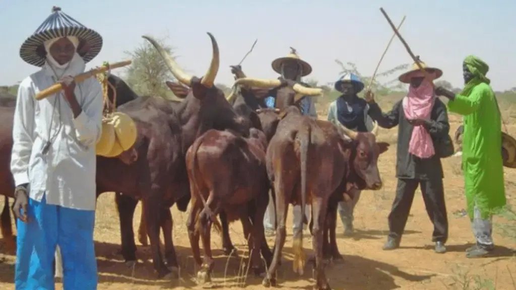 Violences entre éleveurs et agriculteurs à Delta : deux attaques laissent les fermiers dans la peur