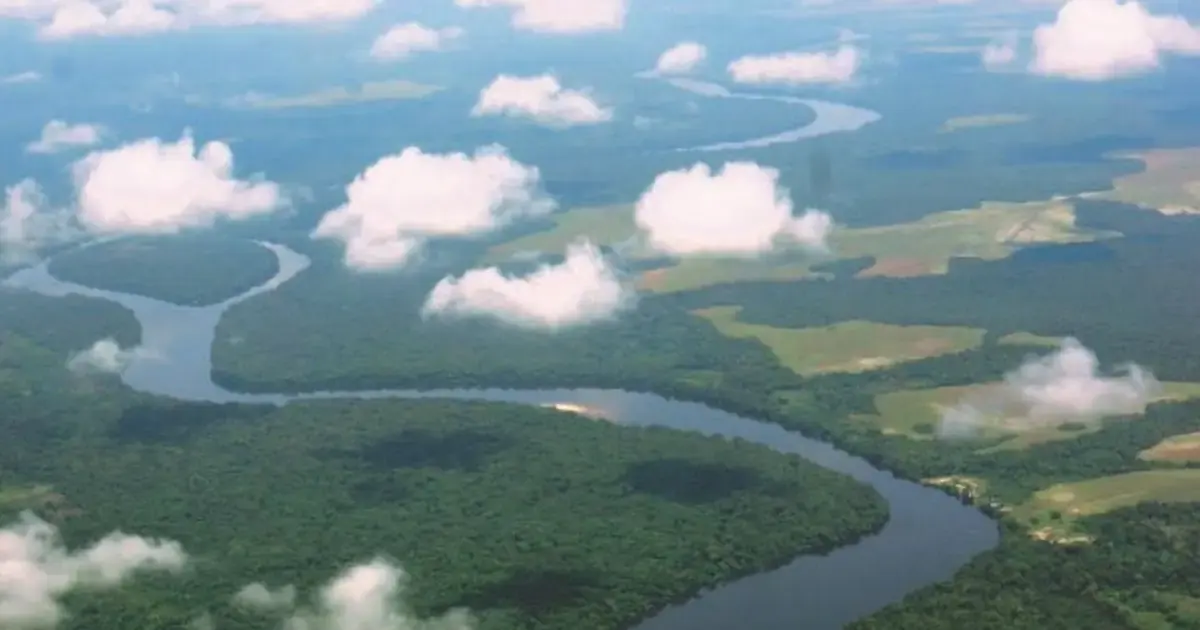Les parlementaires d'Afrique centrale adoptent la Déclaration de Yaoundé pour sanctuariser le Bassin du Congo