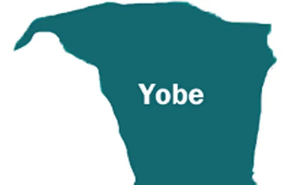 L'opération Hadin Kai intensifie la pression sécuritaire contre les réseaux terroristes dans l'État de Yobe