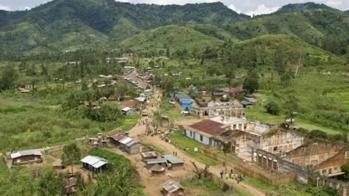 Dans le Masisi, l'envolée du prix du bétail révèle l'asphyxie économique d'une zone de conflit