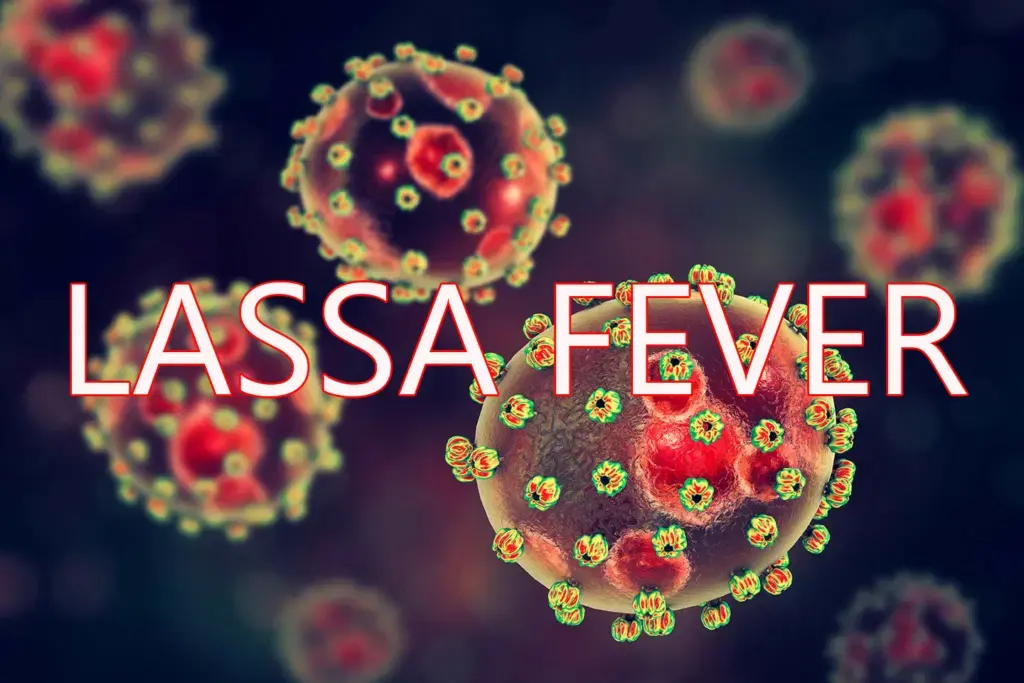 Lassa fever au Nigeria : 252 décès et 14 nouveaux cas, la mortalité grimpe à 24,4 %