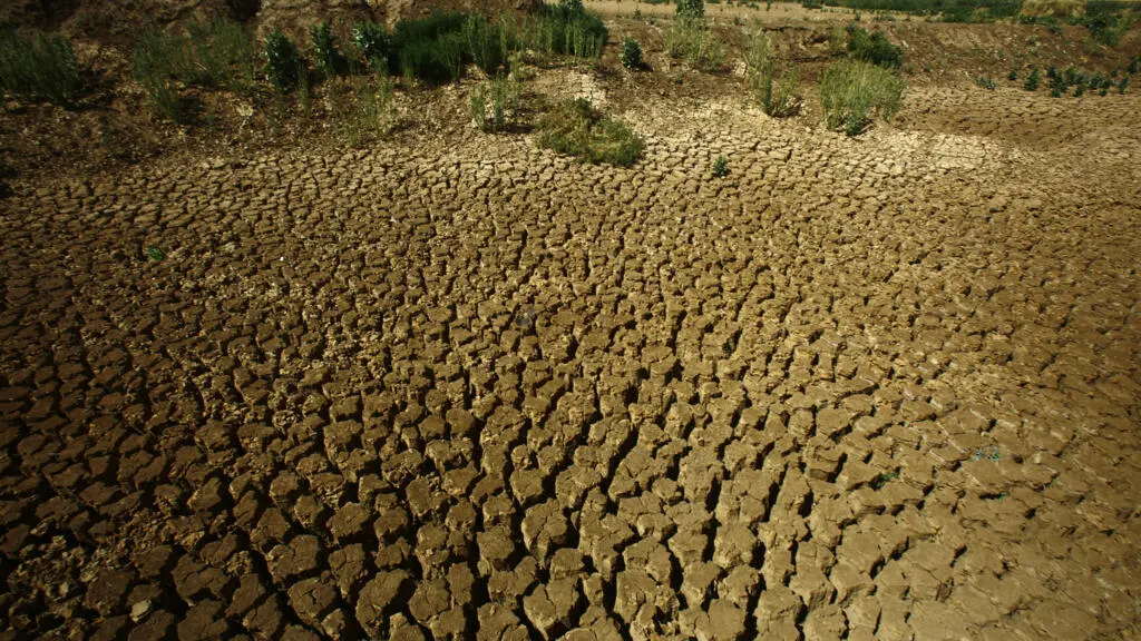 Le Darfour subit une sécheresse historique qui fragilise davantage la sécurité alimentaire au Soudan