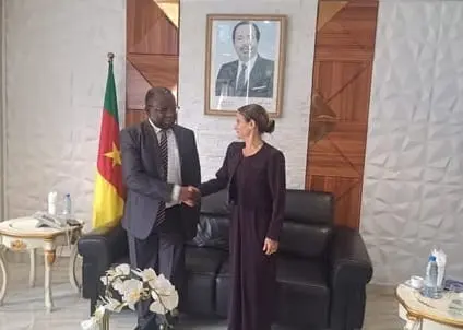 Le Cameroun appelle l'Union européenne à privilégier l'investissement productif face à l'aide au développement