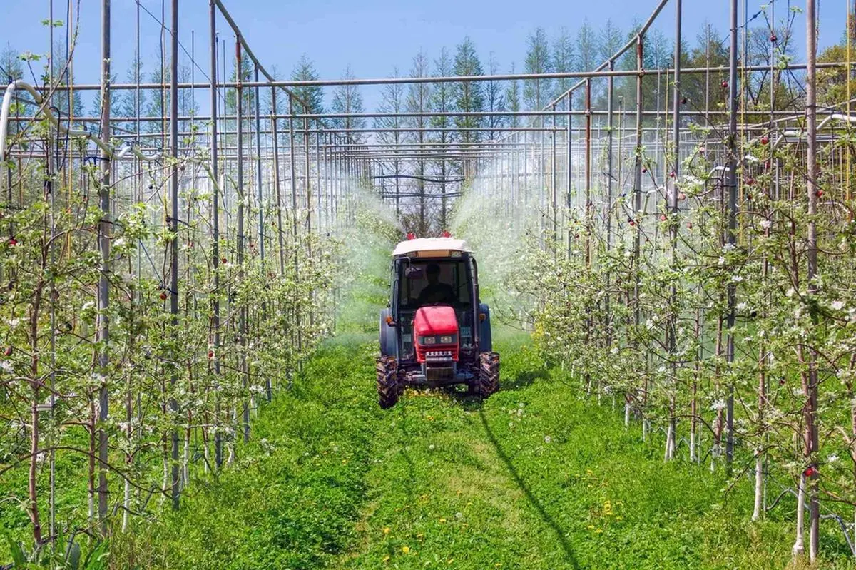 L'effet cocktail des pesticides dans nos assiettes : comprendre les risques et les bons réflexes