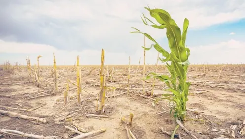 Le poids de la dette entrave l'action climatique dans les pays les plus vulnérables