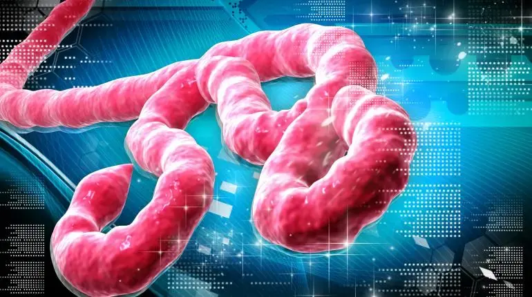 Le Royaume-Uni porte son aide à 78,7 millions de livres pour endiguer l'épidémie d'Ebola en RDC et en Ouganda