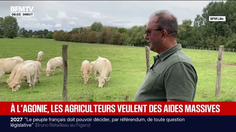 La sécheresse assoiffe l’agriculture africaine : des millions de tonnes de récoltes menacées