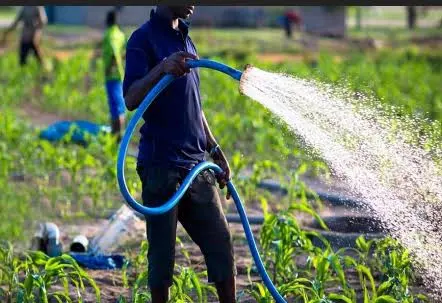 L'agrobusiness ghanéen doit repenser ses stratégies d'investissement pour garantir une croissance durable