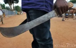 Le tribunal de Thiès se penche sur les tensions récurrentes entre éleveurs et agriculteurs au Sénégal
