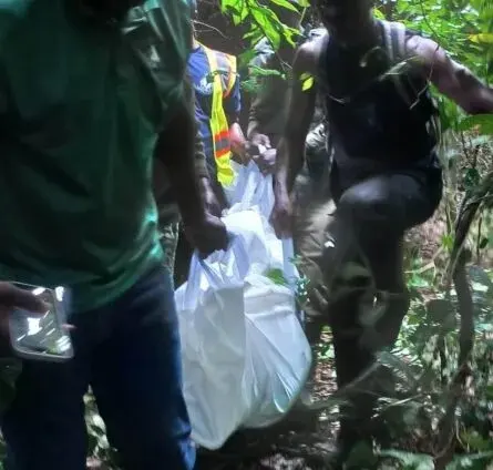Le Ghana Institute of Foresters exige un renforcement des effectifs face à l'insécurité croissante dans les zones protégées