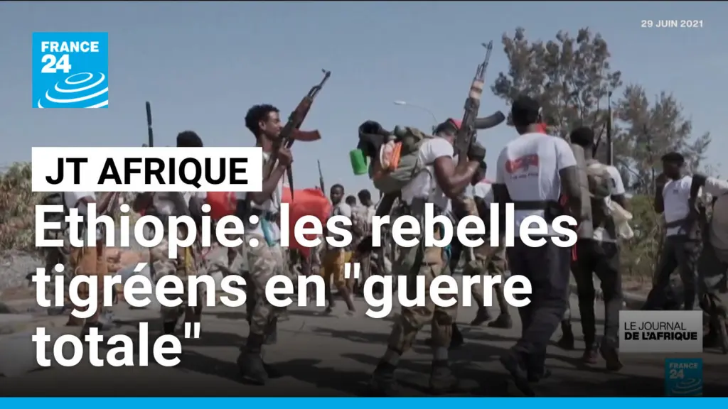 Les autorités du Tigré déclarent une guerre totale contre le gouvernement éthiopien, 272 rebelles tués selon l'armée fédérale