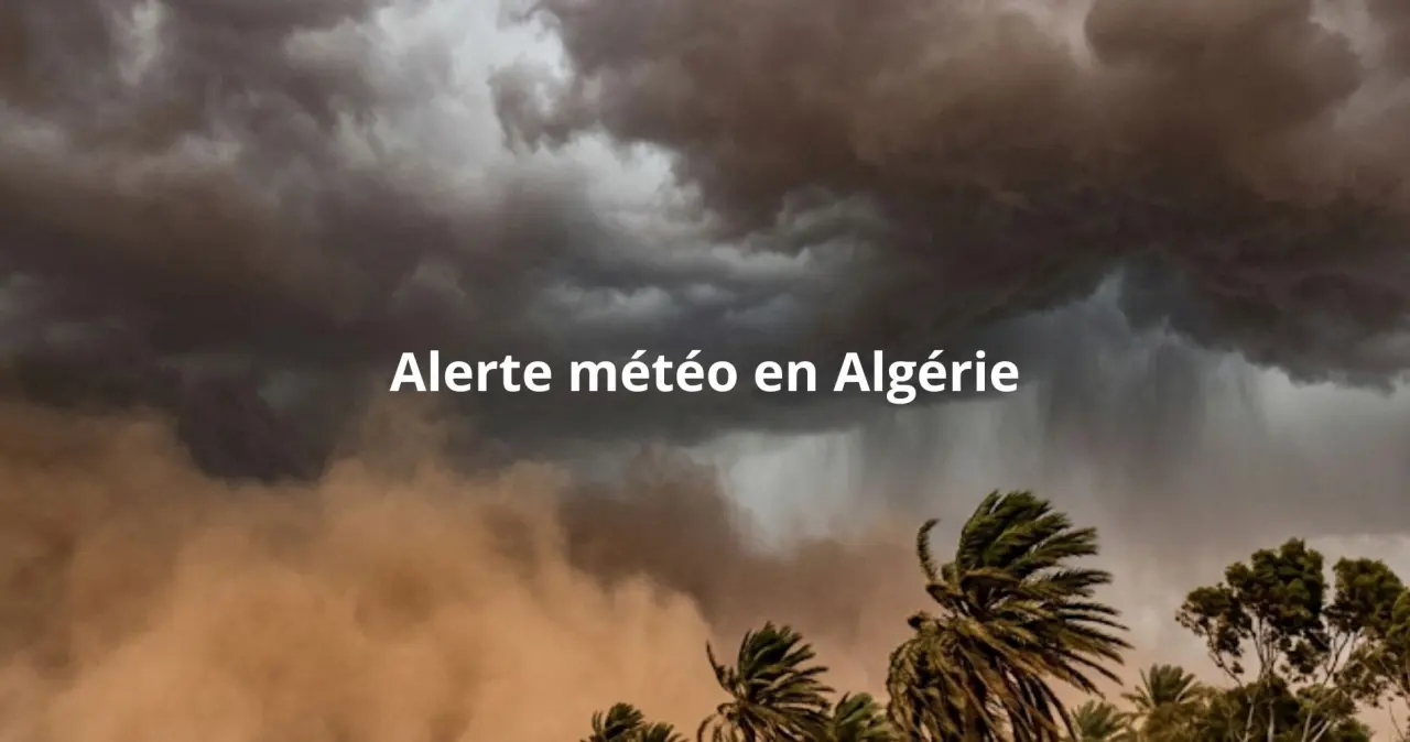 L'Algérie sous surveillance météorologique : orages et vents de sable attendus sur une large partie du territoire