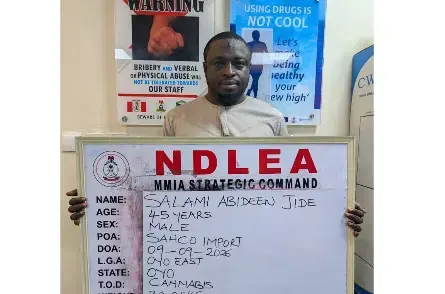 Le Nigeria intensifie sa lutte contre les réseaux de trafic de drogue à travers neuf États