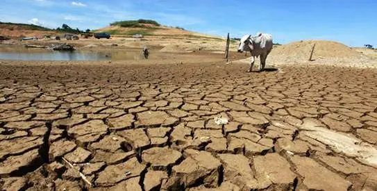 La CEDEAO appelée à harmoniser ses législations pour mieux anticiper les catastrophes climatiques