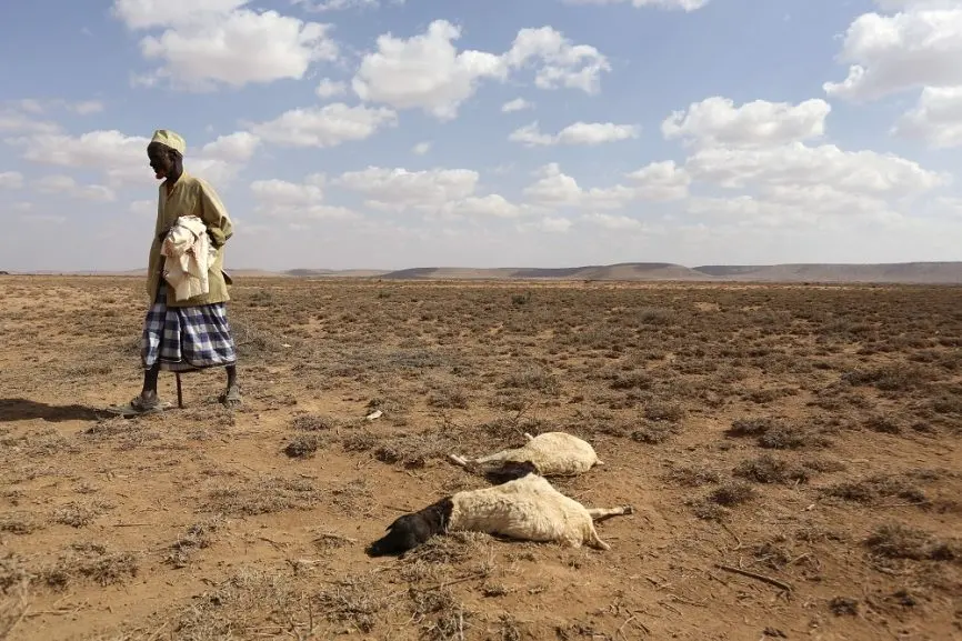El Niño menace l'Afrique australe : sécheresses, inondations et crise énergétique en vue