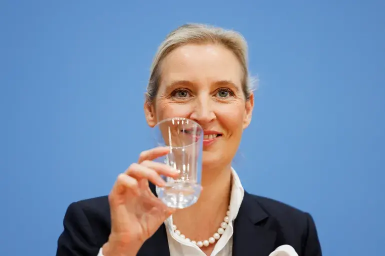 La montée de l'AfD en Allemagne ébranle la stabilité politique et les soutiens à l'Ukraine