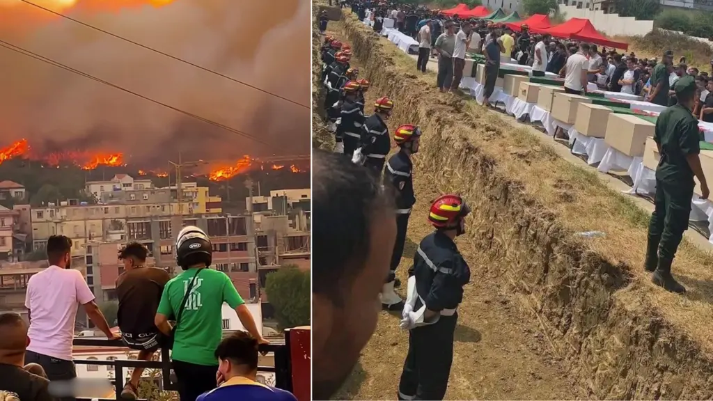 Incendies en Algérie : le décalage entre le bilan officiel et la réalité du terrain à Jijel