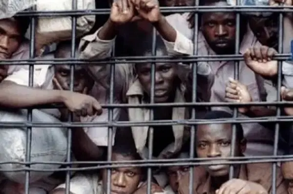 Vingt-trois décès en détention en Tunisie : la gestion des prisons face à la canicule