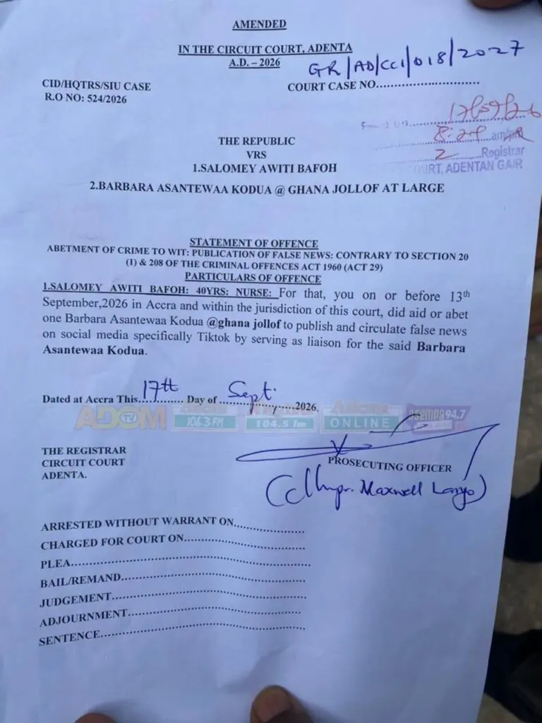 Le professeur Kwaku Asare conteste la solidité juridique des poursuites contre une infirmière liée au compte TikTok Ghana Jollof