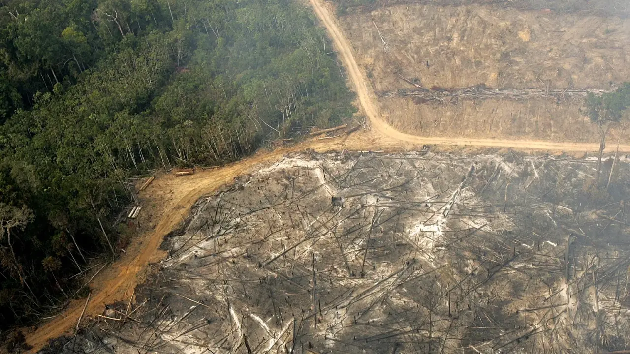 Le dernier rapport du PIK révèle que sept des neuf limites planétaires sont déjà franchies et que leur degré de transgression atteint un niveau record